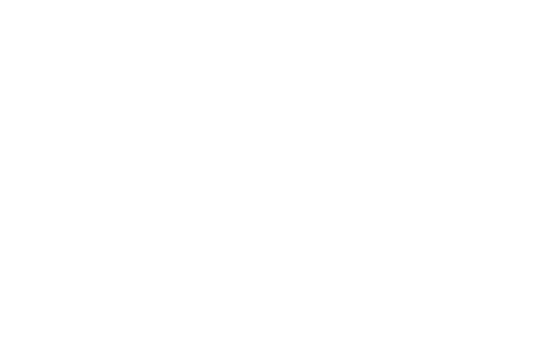 Picotin Logo